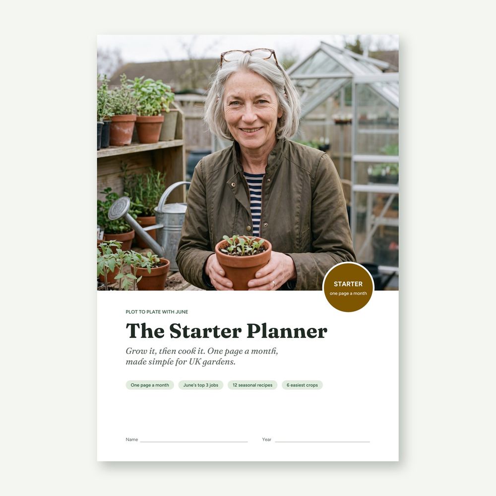 Starter Planner, picture 1 of 7