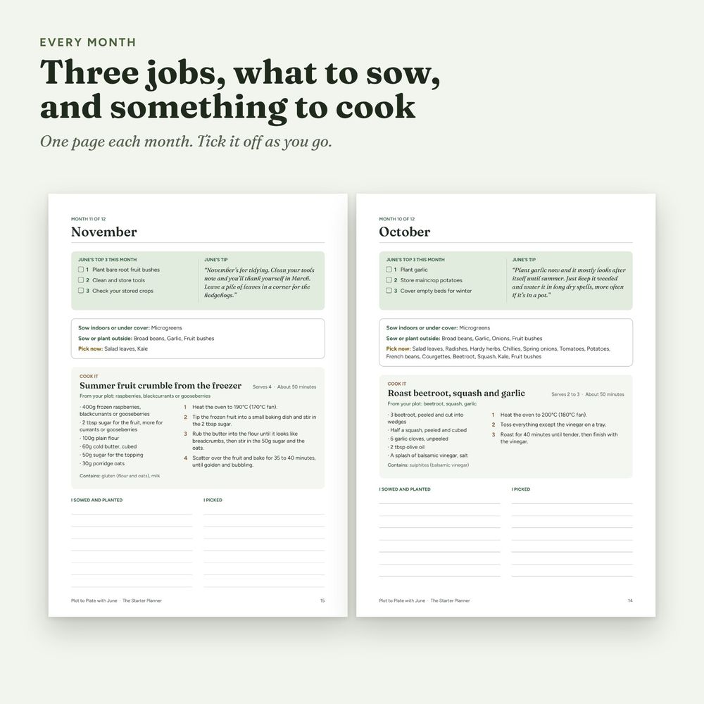 Starter Planner, picture 3 of 7