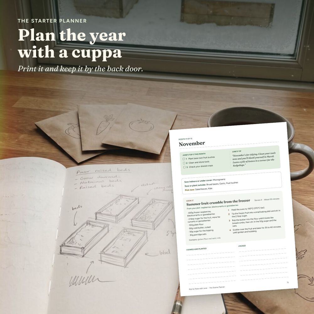 Starter Planner, picture 5 of 7