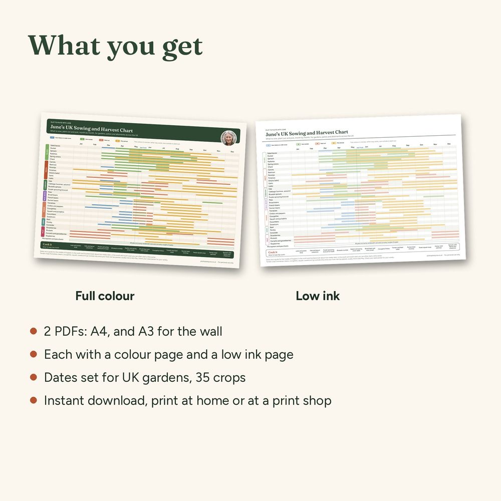 UK Sowing Chart, picture 4 of 6