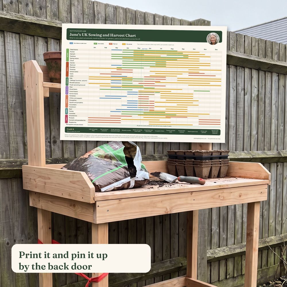 UK Sowing Chart, picture 5 of 6