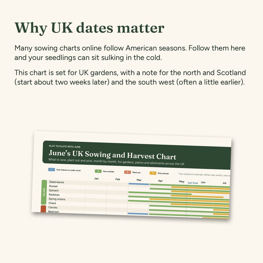 UK Sowing Chart, picture 6 of 6